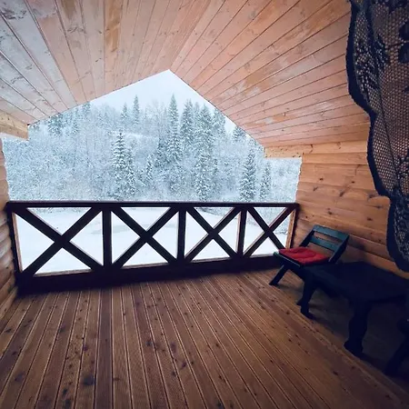 тіні предків