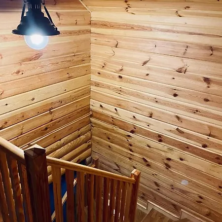 тіні предків