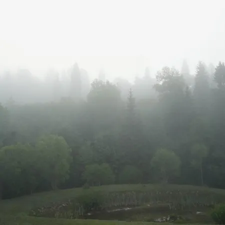 בקתה тіні предків