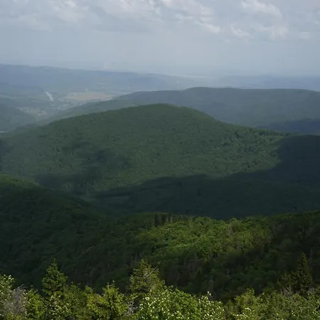 тіні предків