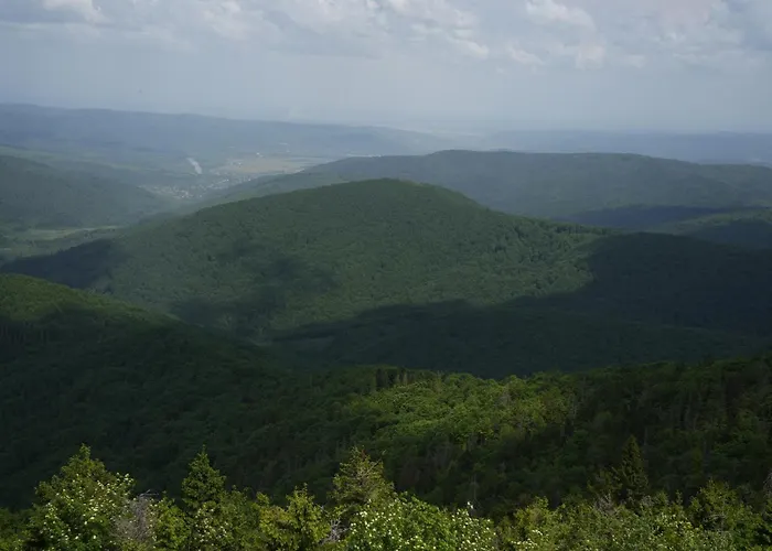 тіні предків